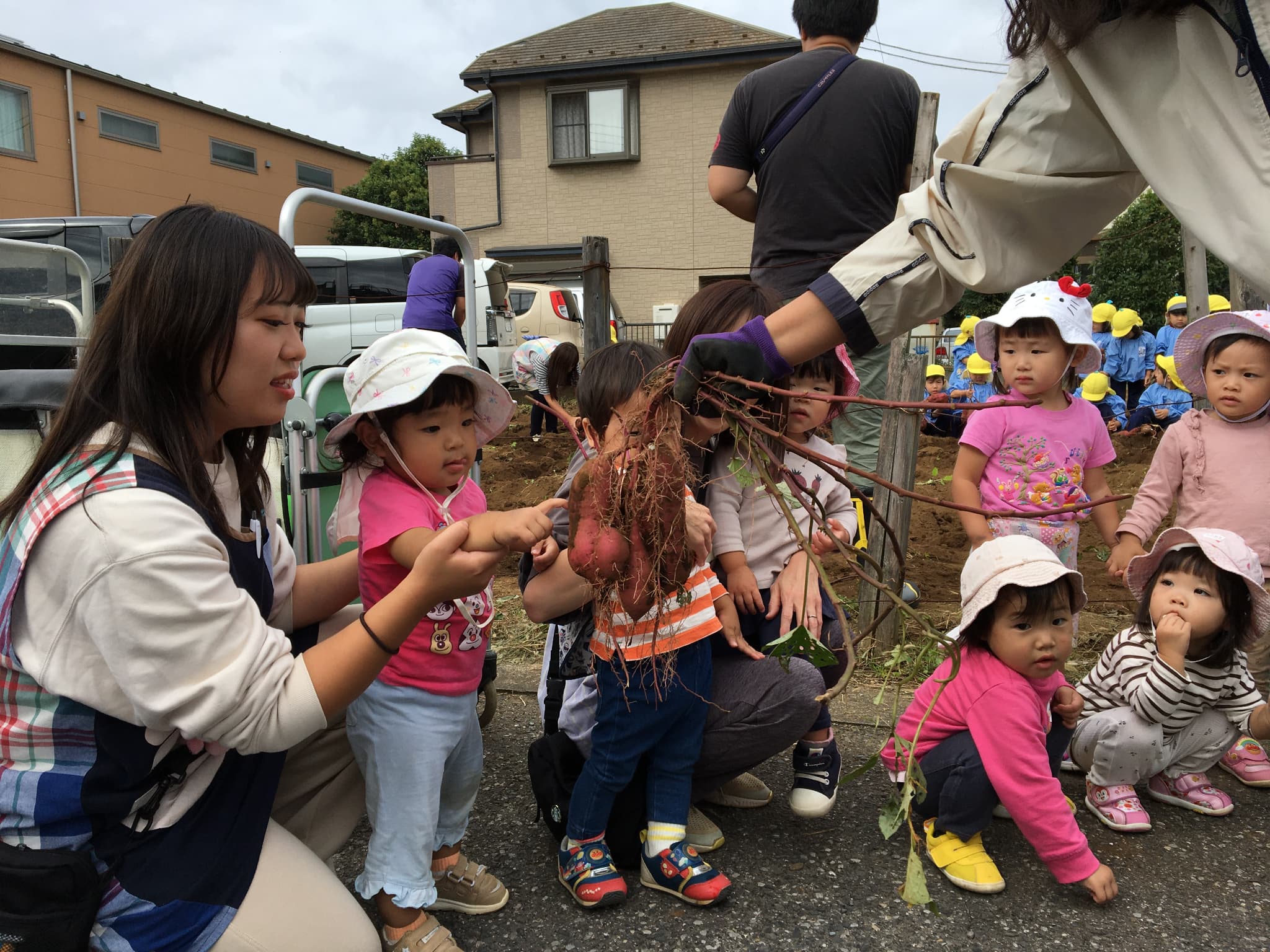 業務内容の画像