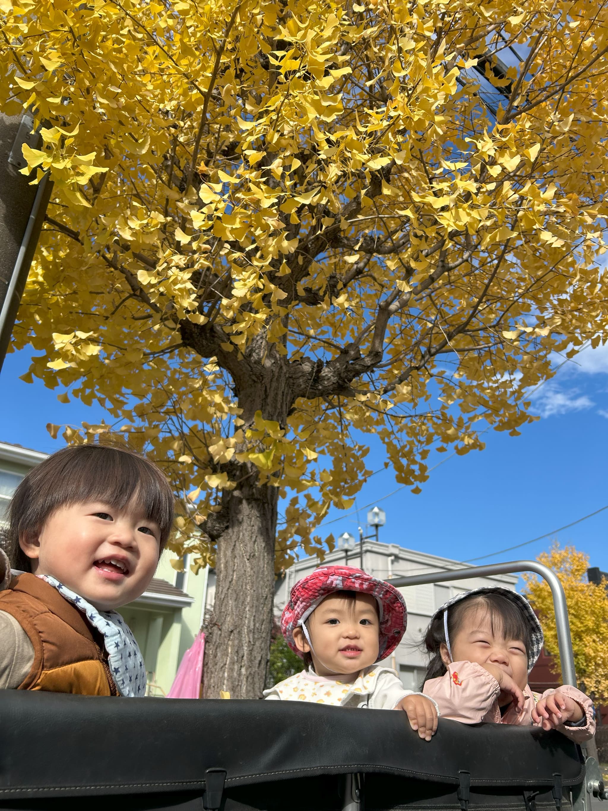kv写真